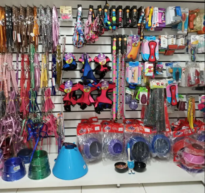 imagem_2025-05-13_074859852