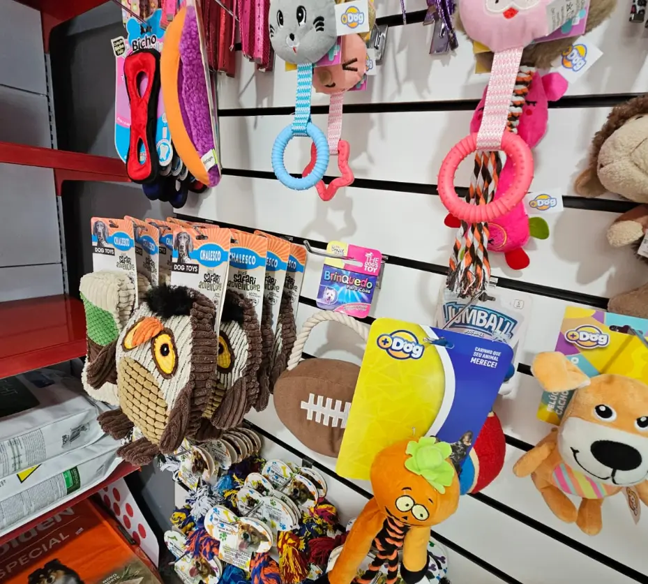 imagem_2025-05-13_075022988