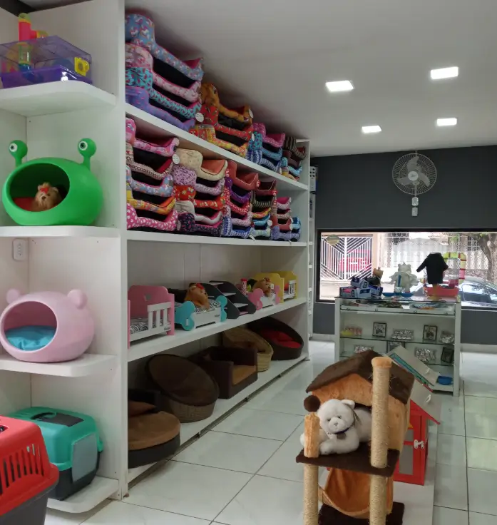 imagem_2025-05-13_075105735